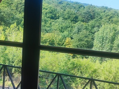کلبه جنگلی چوبی سوئیسی "دومان"