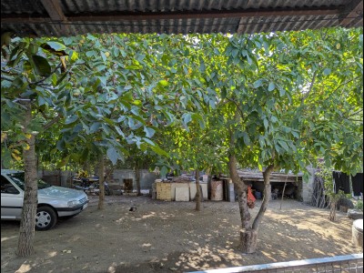 ویلای تک خوابه "روژا"