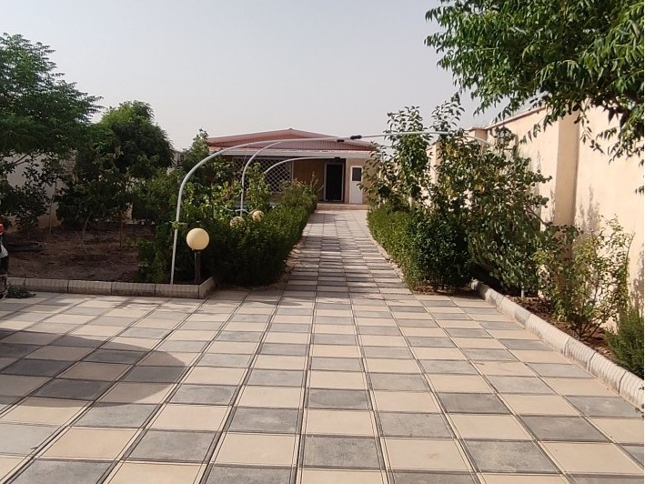 حیاط