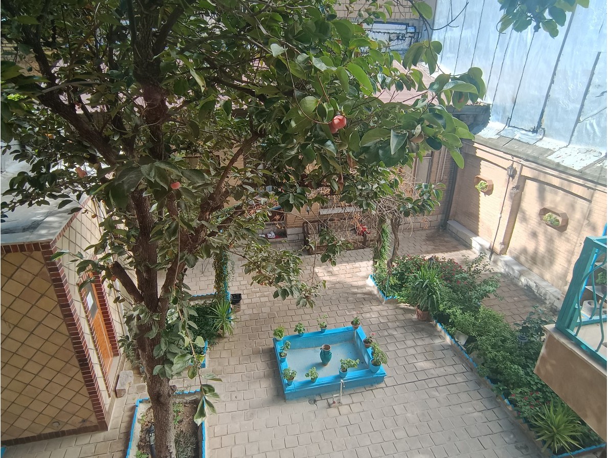 حیاط