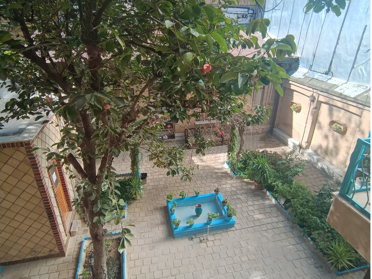 حیاط