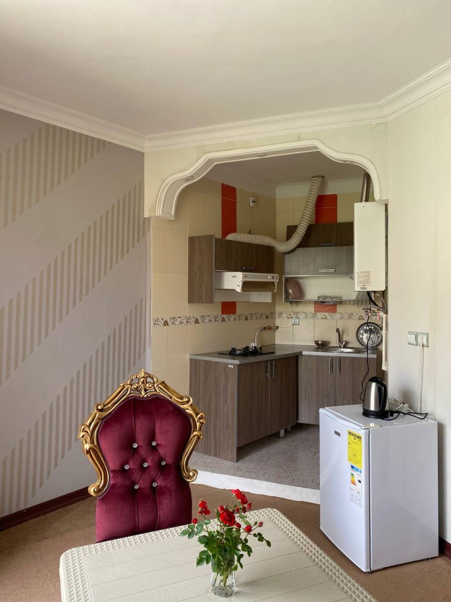 اتاق پذیرایی و آشپزخانه