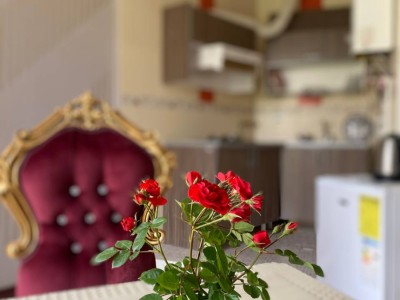 اقامتگاه بومگردی شامار"سوئیت تراس دار"