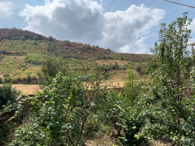 اقامتگاه خانه باغ