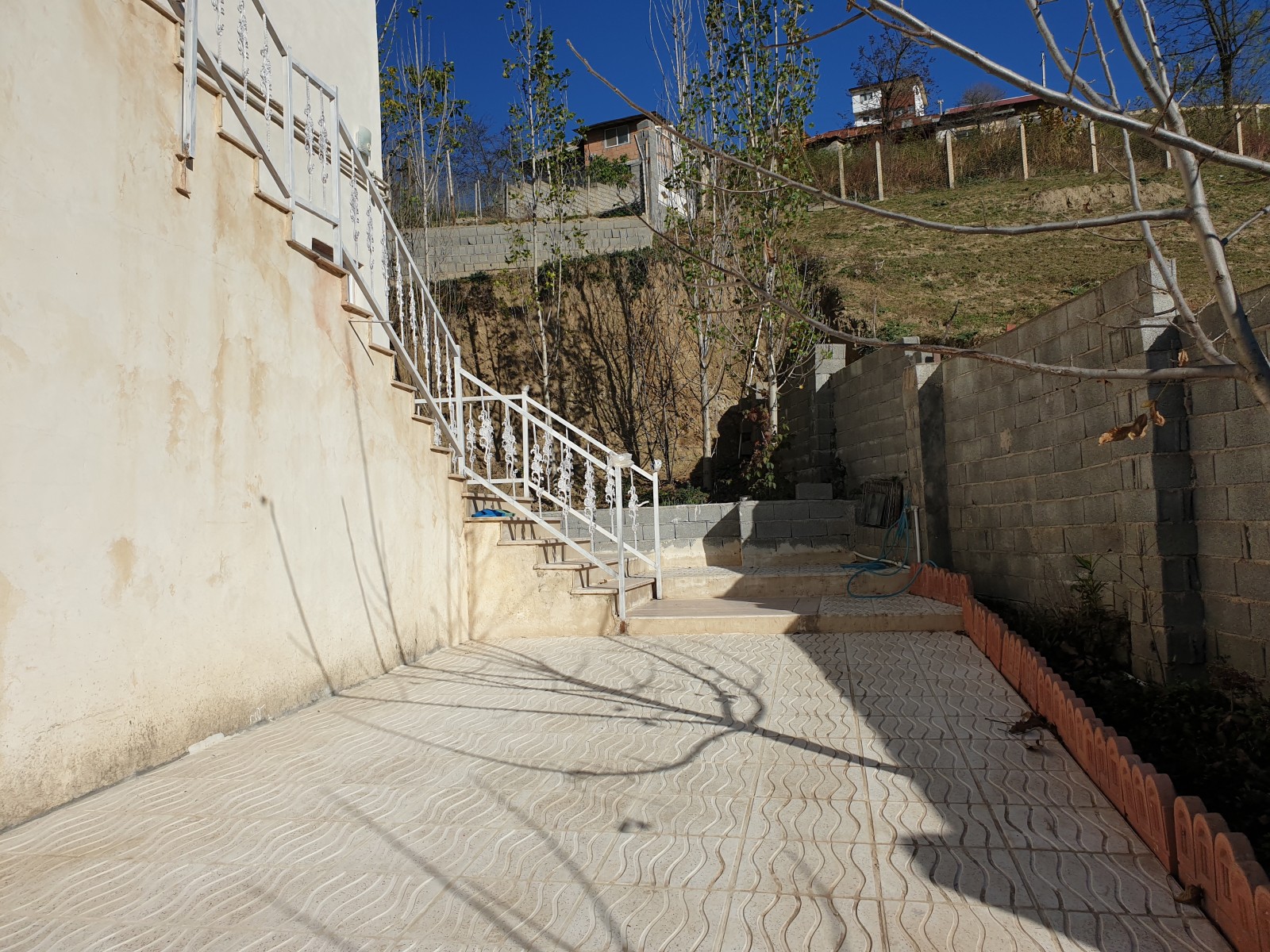 حیاط حیاط