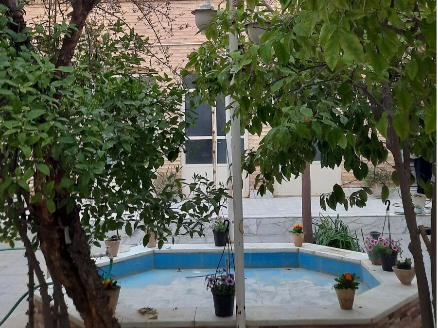 حیاط