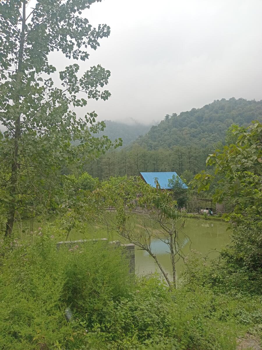 فضای اطراف اقامتگاه فضای اطراف اقامتگاه