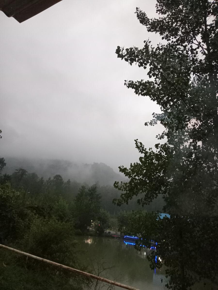 فضای اطراف اقامتگاه فضای اطراف اقامتگاه