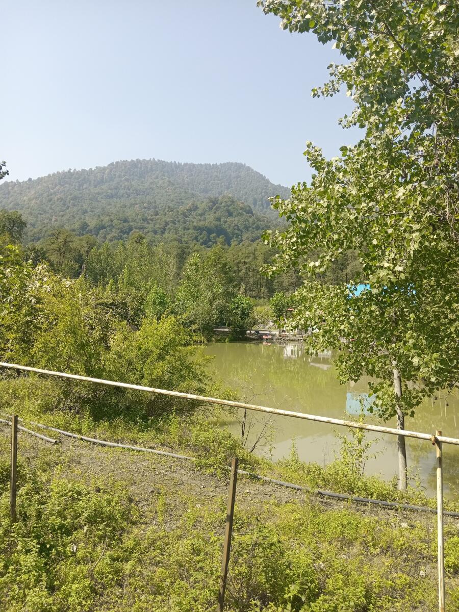 فضای اطراف اقامتگاه فضای اطراف اقامتگاه