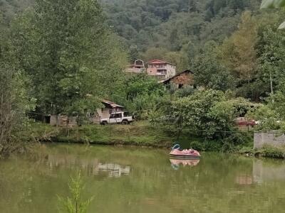 کلبه جنگلی سوادکوه تک خوابه در لفور