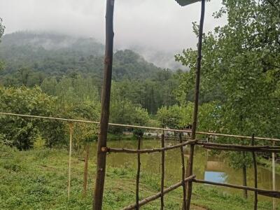 کلبه جنگلی سوادکوه تک خوابه در لفور