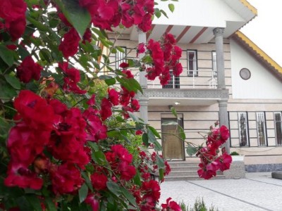 عمارت آراد عمارت آراد