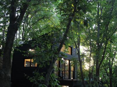 کلبه ی جنگلی تیکال  چهل دقیقه ای شیراز