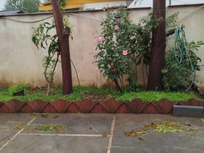 باغچه سبز باغچه سبز