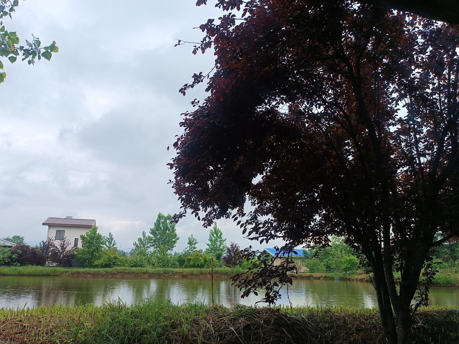 محوطهٔ‌ اقامتگاه