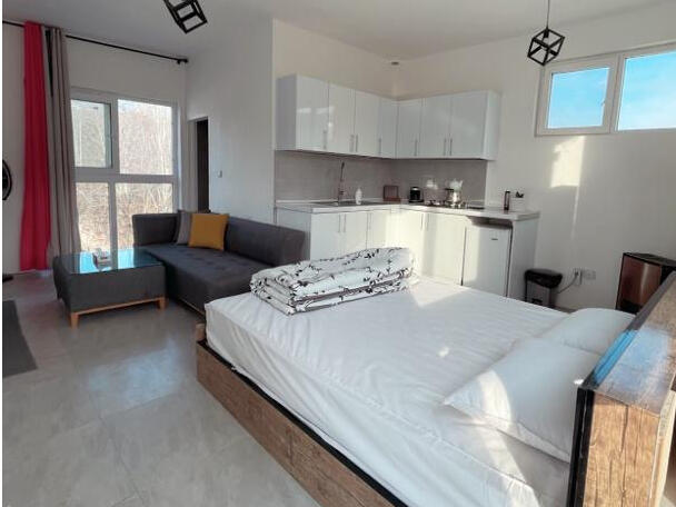 اتاق پذیرایی و آشپزخانه