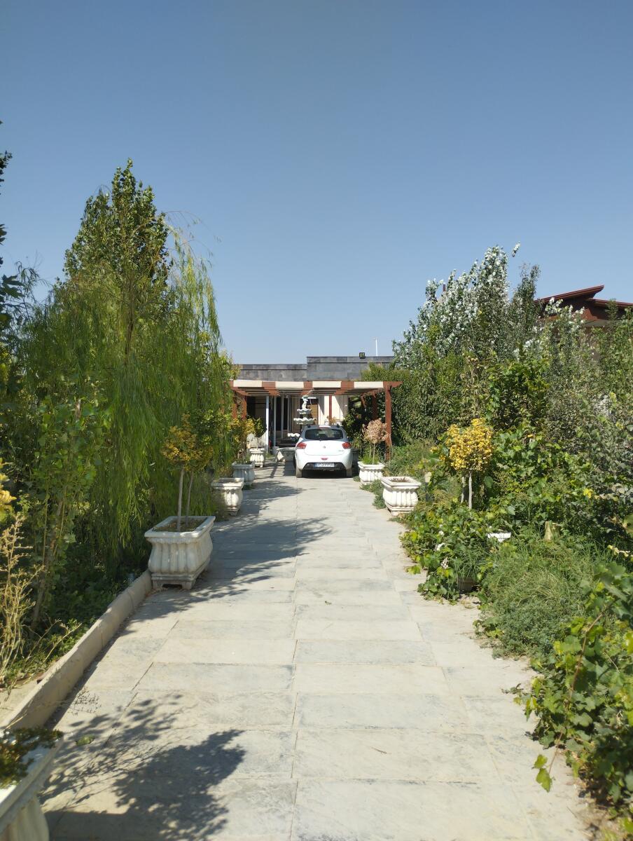 حیاط