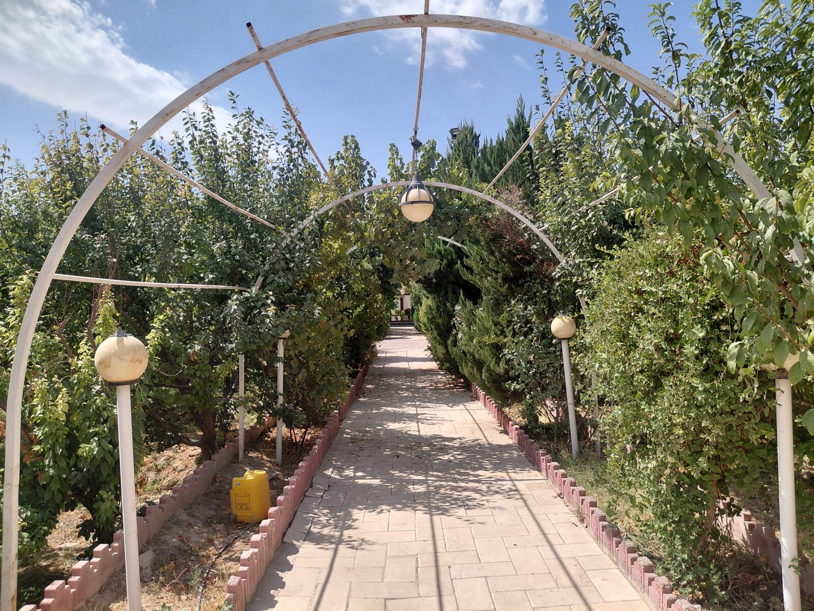 حیاط حیاط