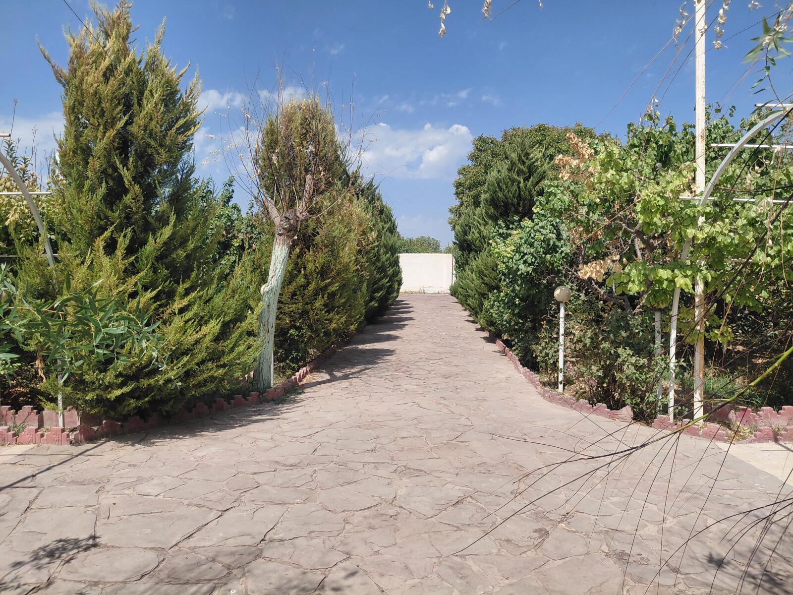 حیاط حیاط