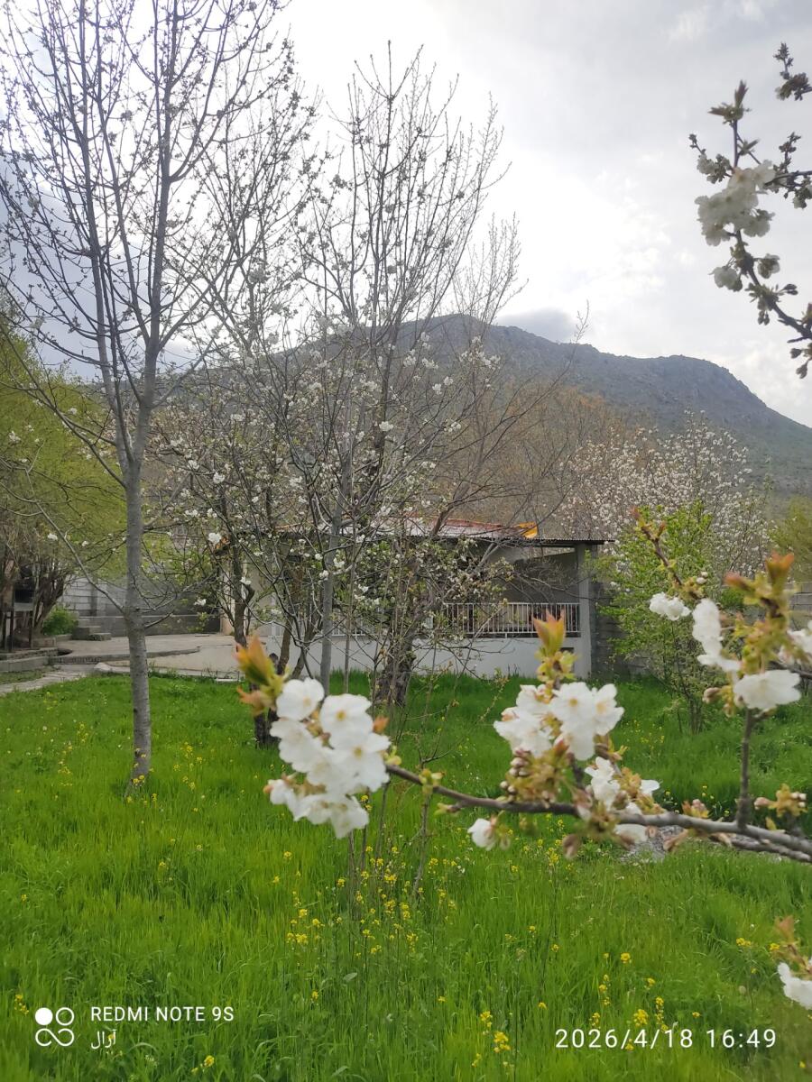 نمای ساختمان نمای ساختمان