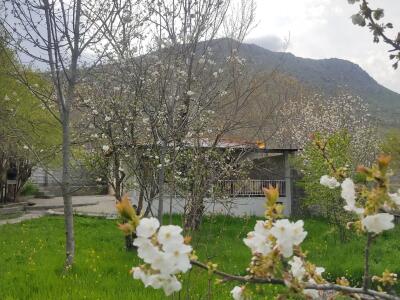 ویلا باغ زمانی