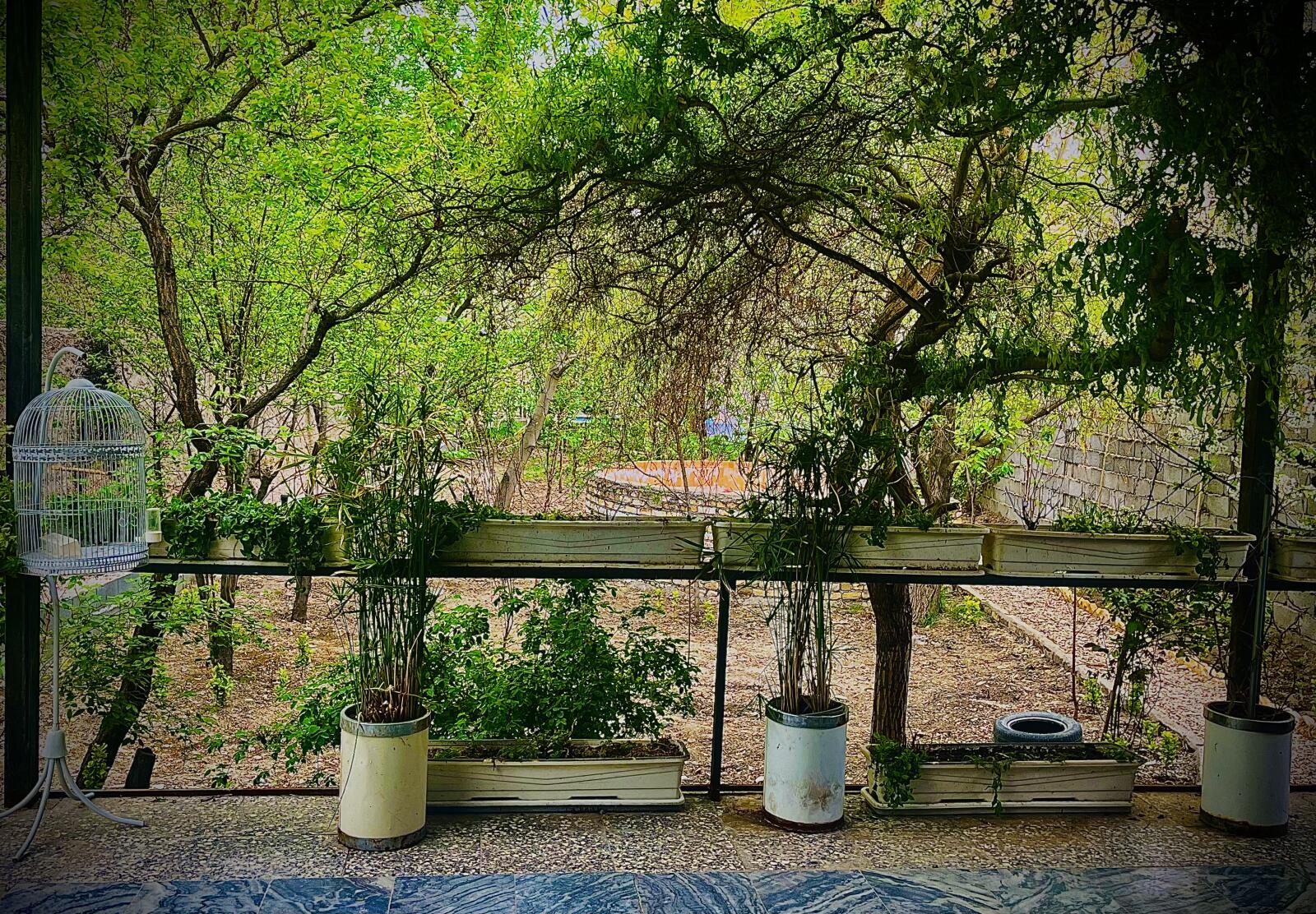 حیاط حیاط