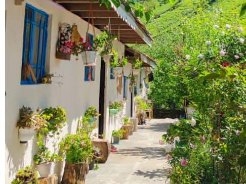 نمای بیرونی سوییت ها نمای بیرونی سوییت ها