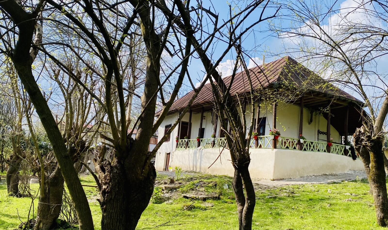 نمای ساختمان نمای ساختمان