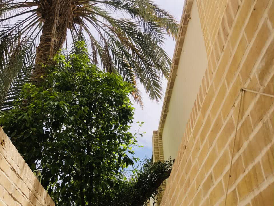 نمای بیرون از ورودی نمای بیرون از ورودی