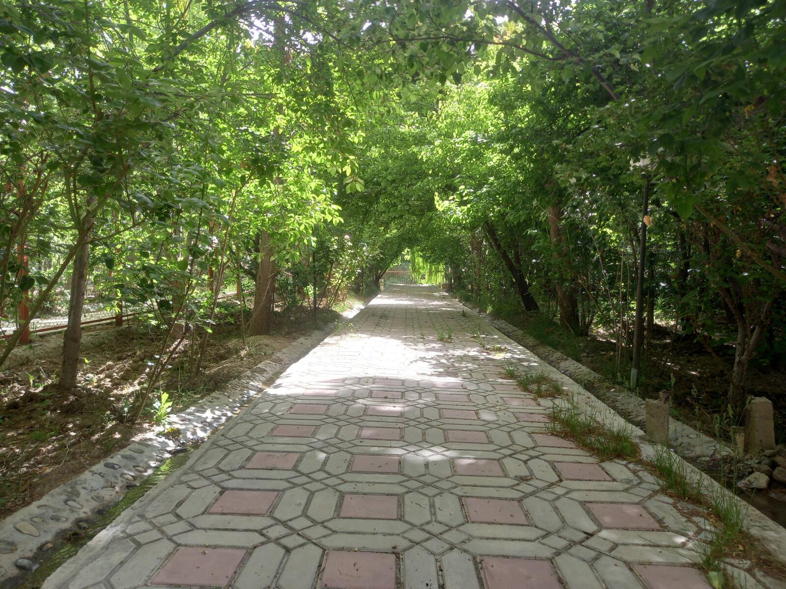 محوطه باغ محوطه باغ