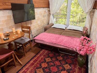"اتاق با مبل تخت خوابشو" بومگردی باغ ارامش