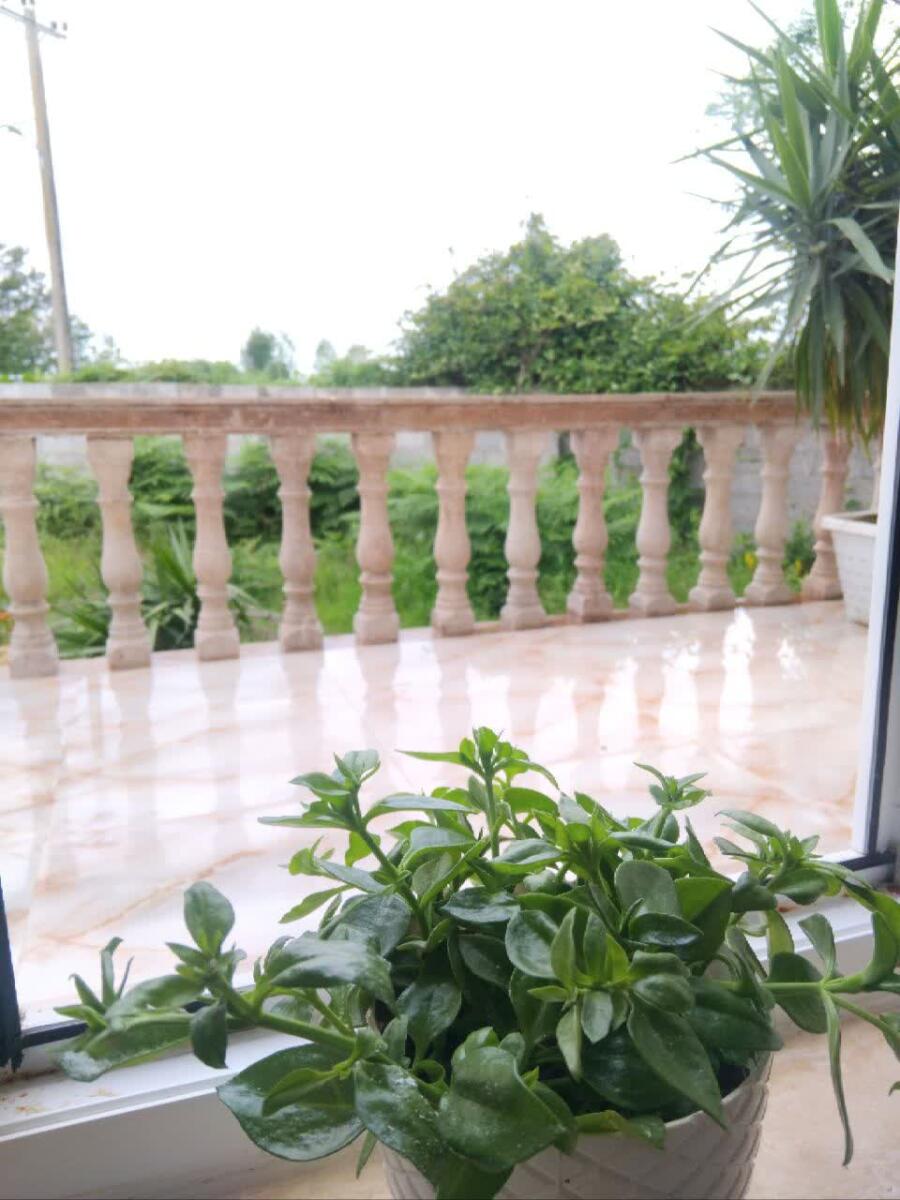 تراس تراس