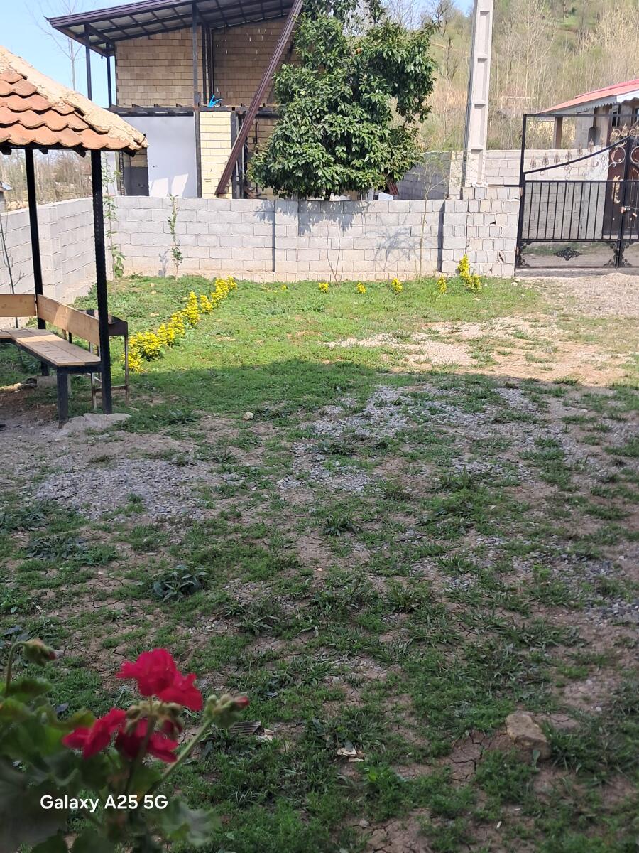 حیاط حیاط