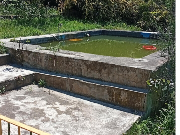 استخر