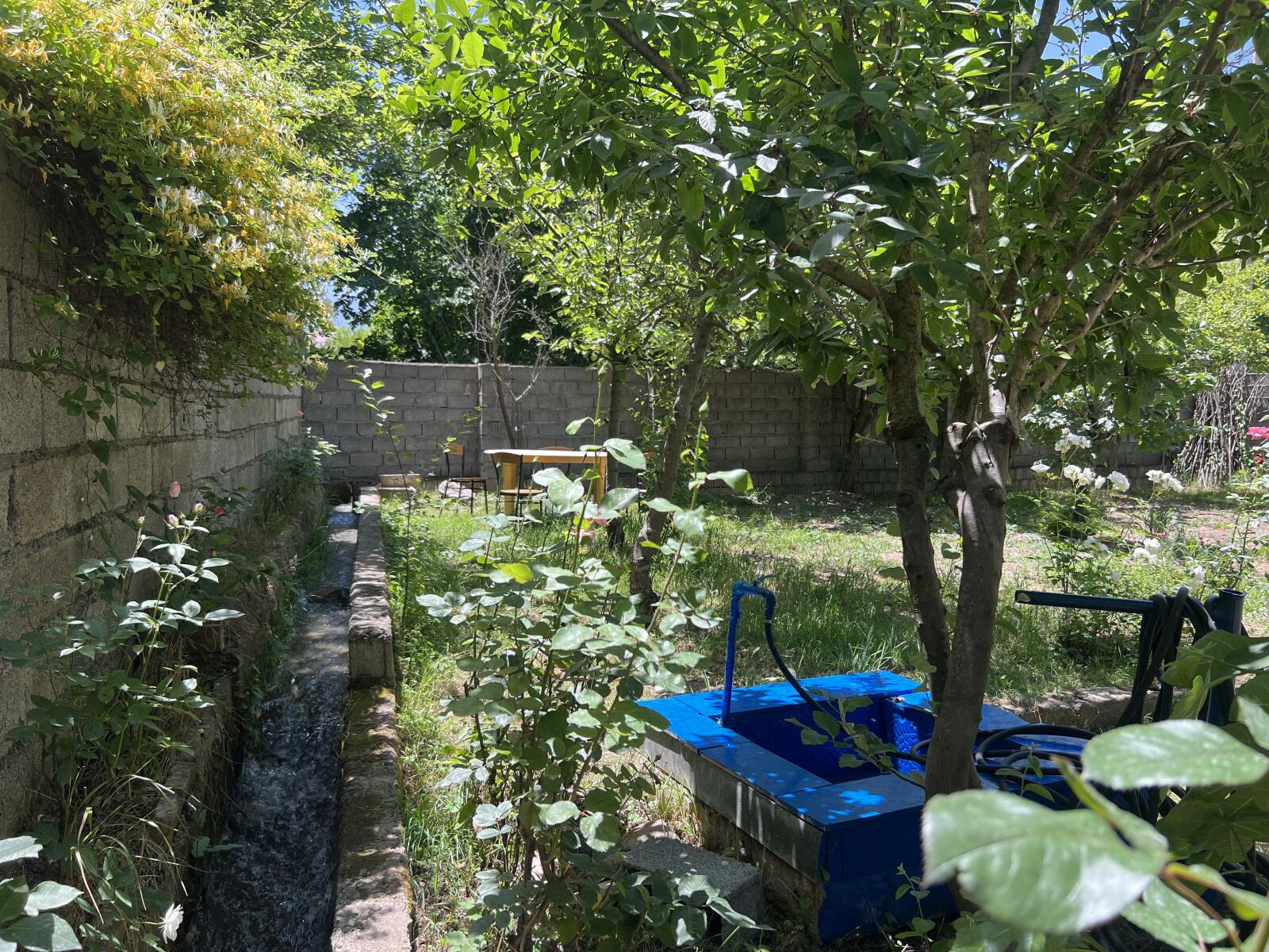 حیاط حیاط