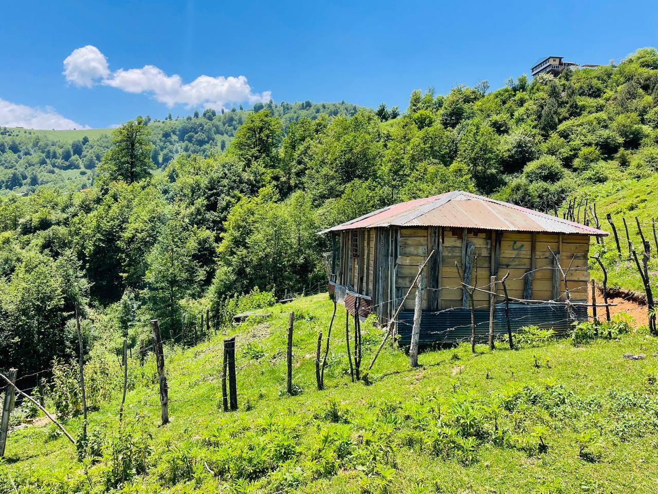 نمای کلبه نمای کلبه