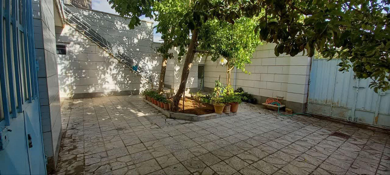 حیاط