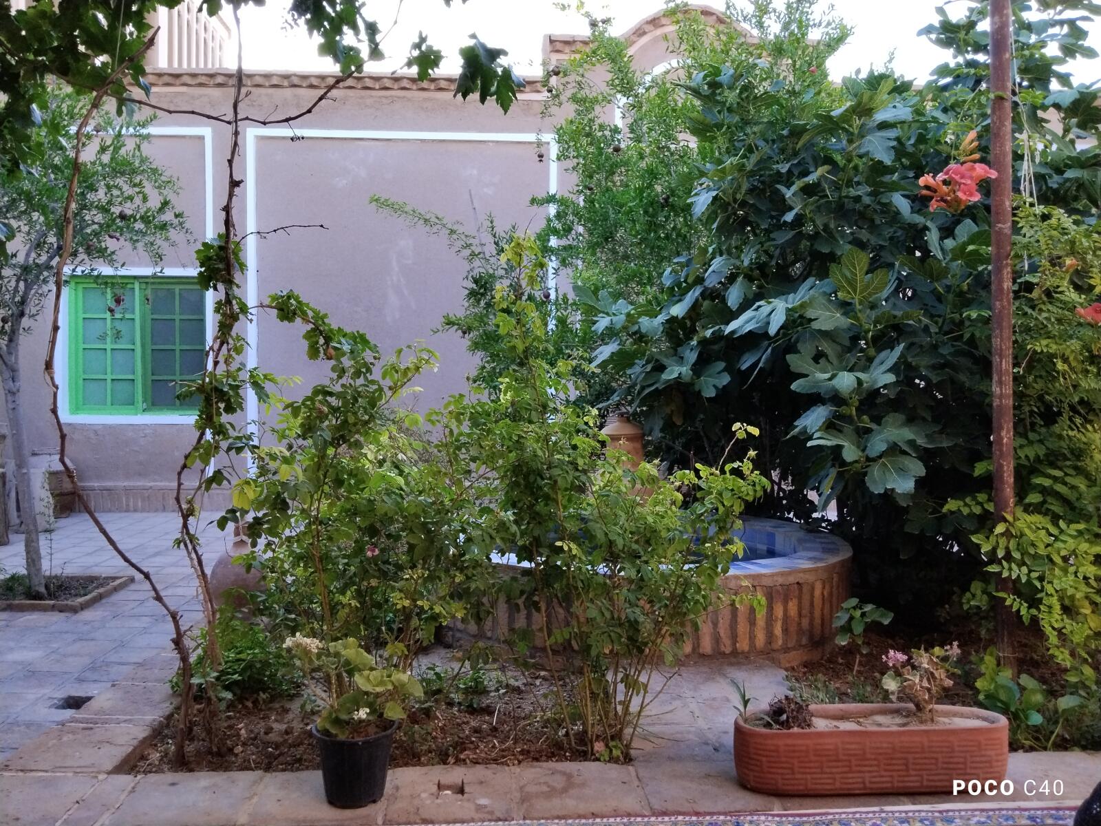 حیاط حیاط