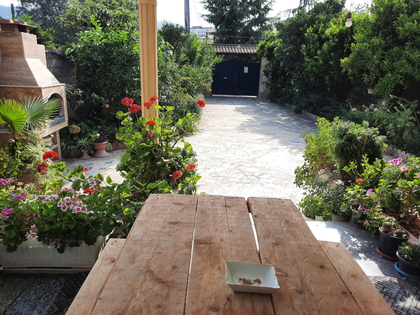 حیاط حیاط