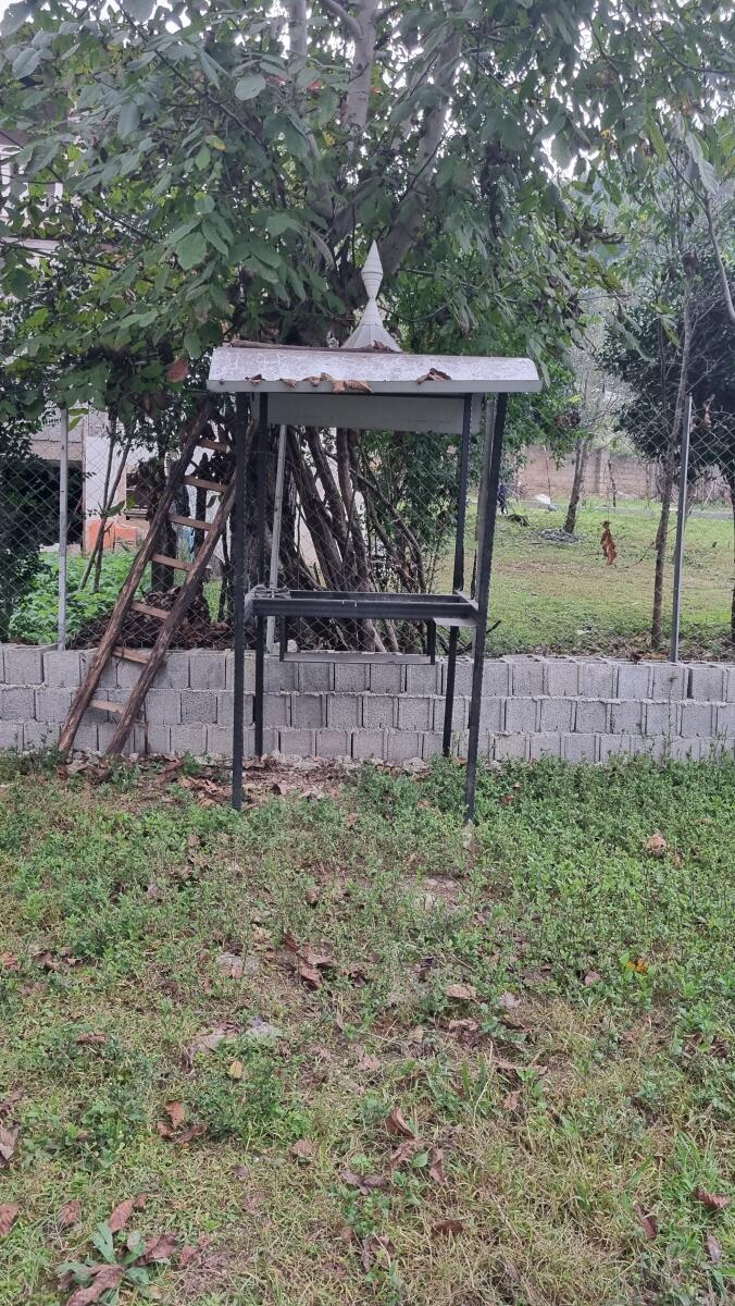باربیکیو