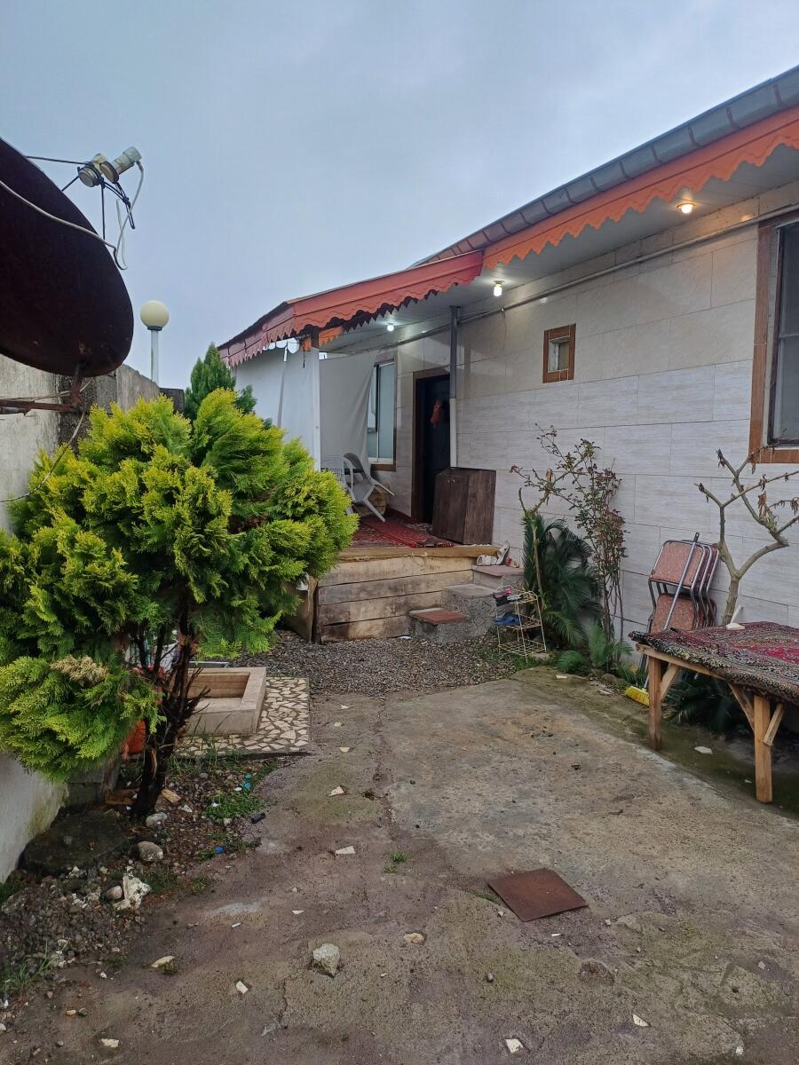 حیاط حیاط