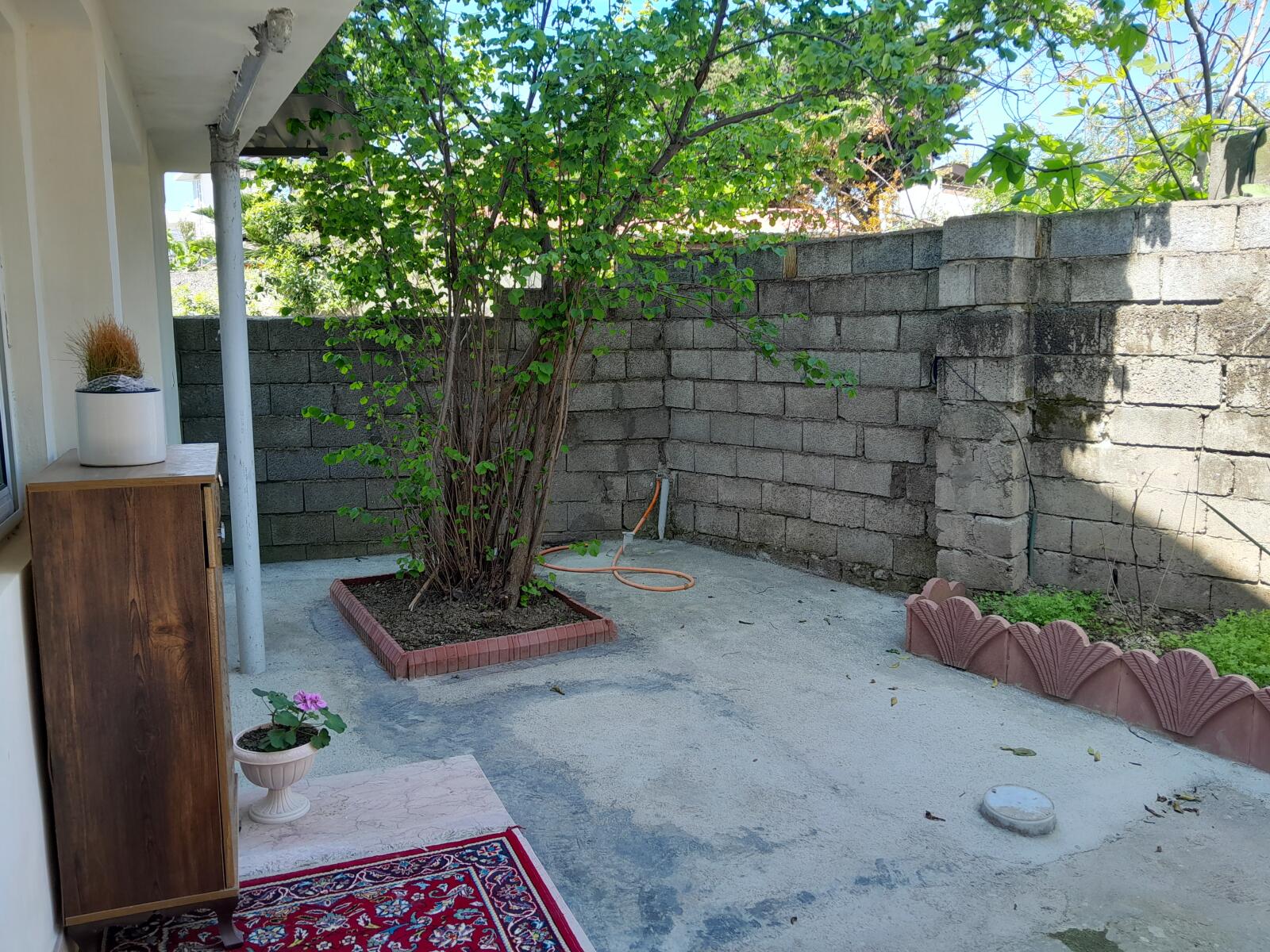 حیاط