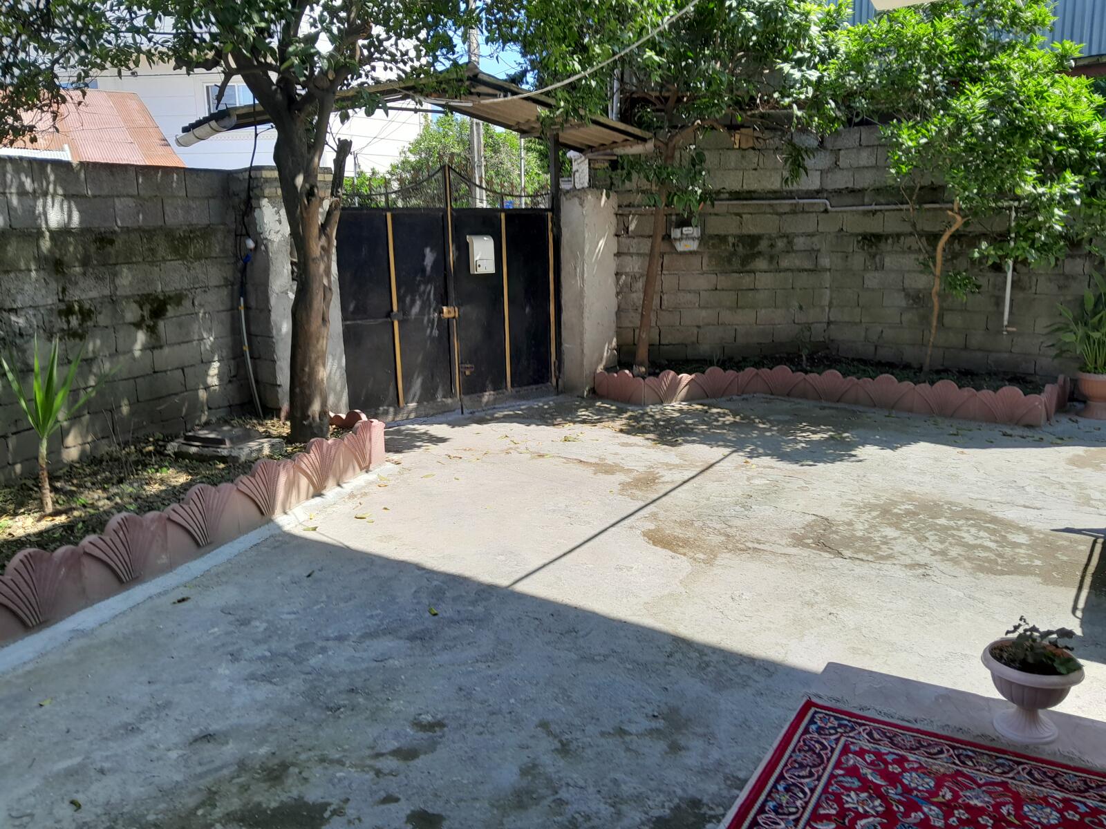 حیاط