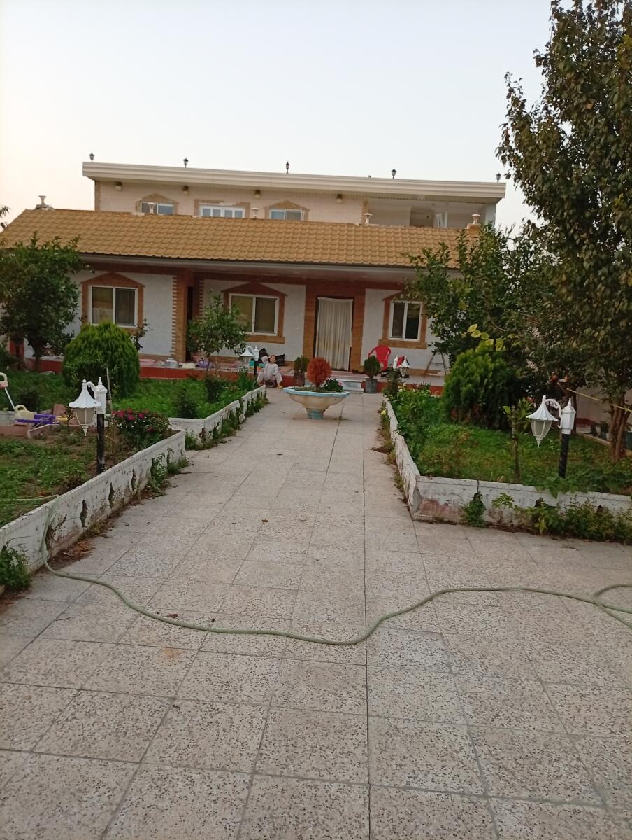 حیاط
