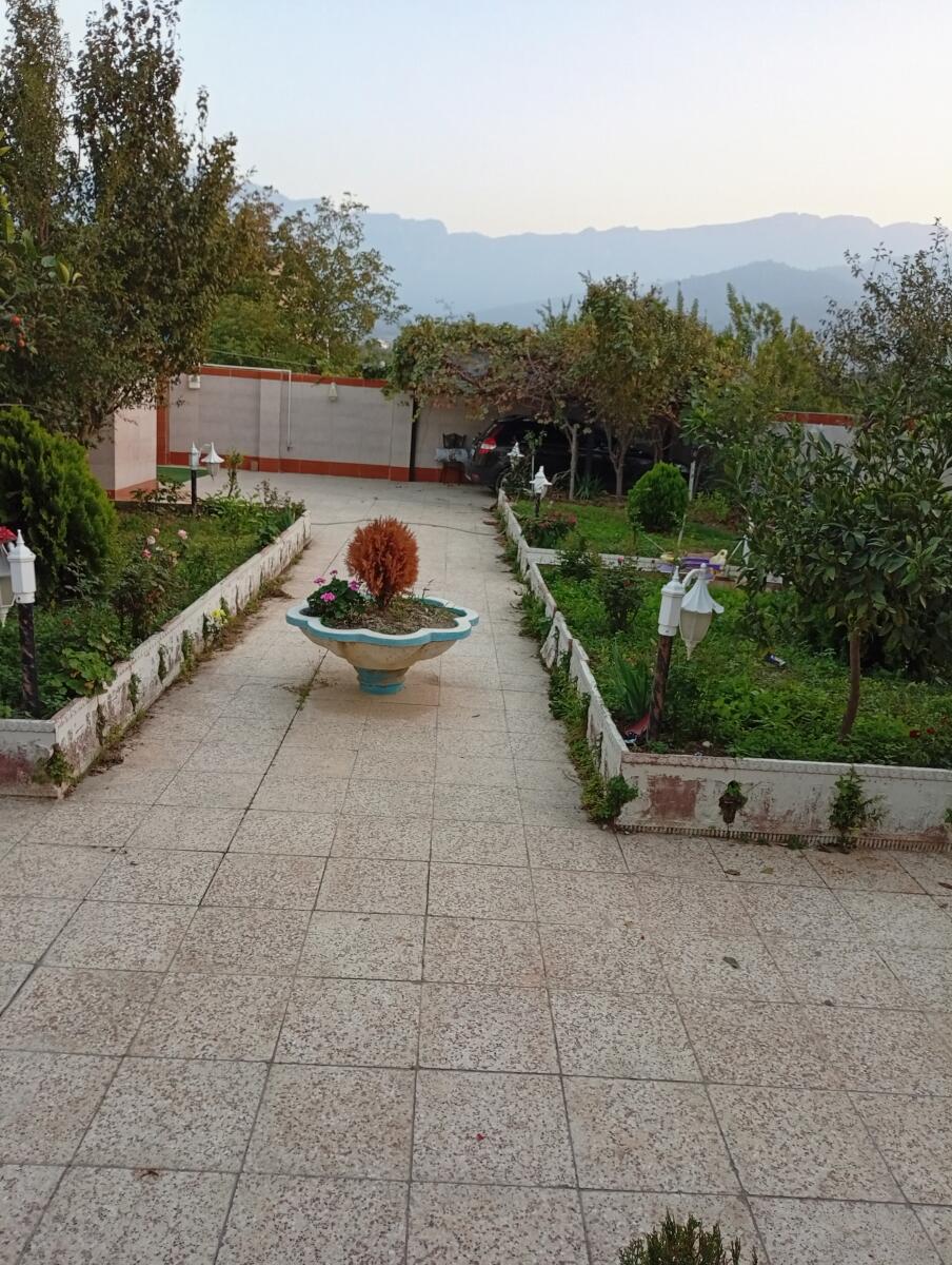 حیاط