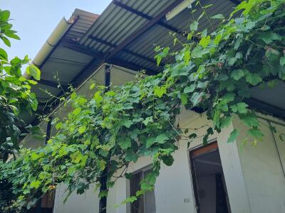 باغ ویلا جکوزی دار پیمان