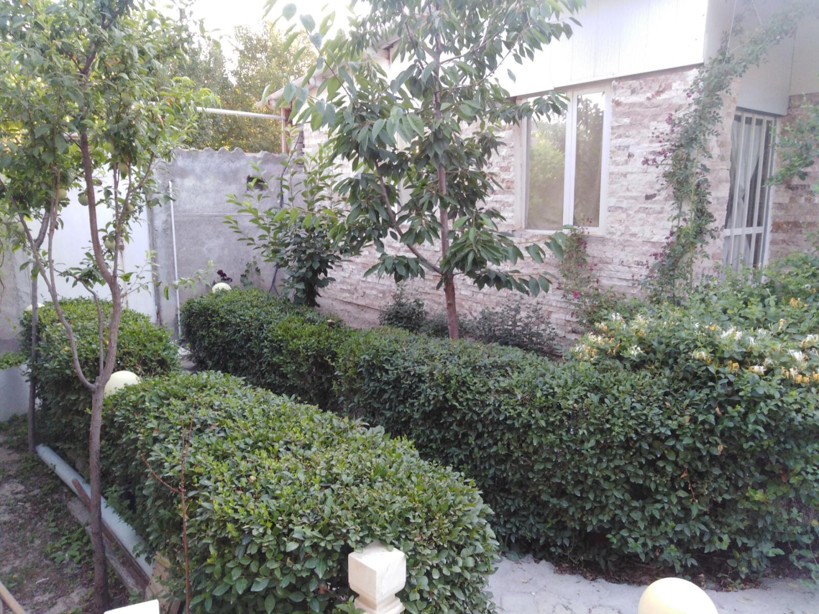 حیاط حیاط