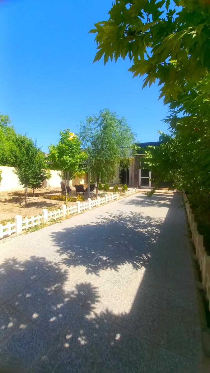 حیاط حیاط