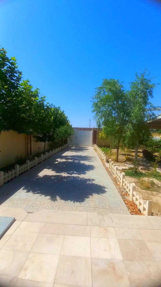 حیاط حیاط