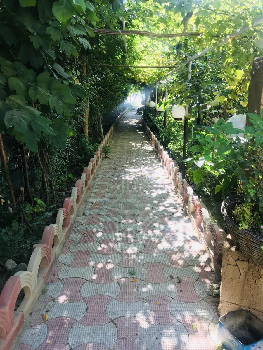 راهرو حیاط راهرو حیاط